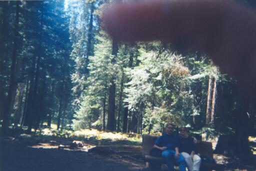 Sequoia National Park