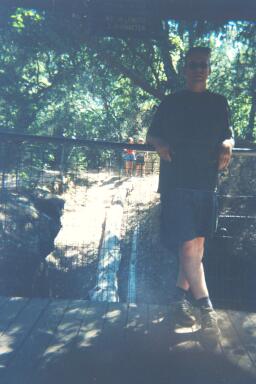Papa in Petrified Forest