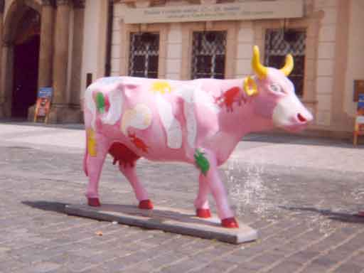 Cow parade in Prague