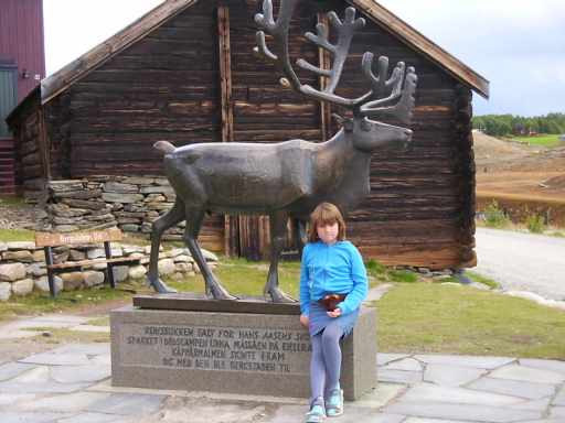 Hert in Røros