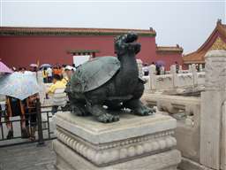 Schildpad in de Verboden Stad in Peking